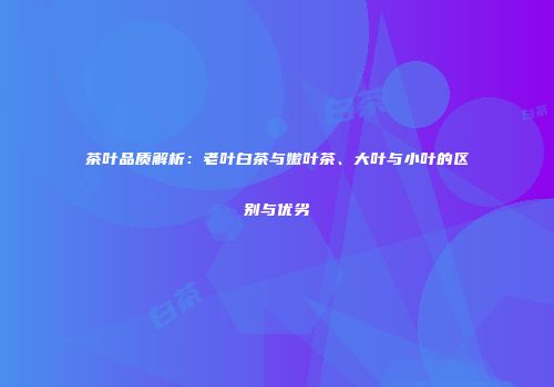 茶叶品质解析：老叶白茶与嫩叶茶、大叶与小叶的区别与优劣