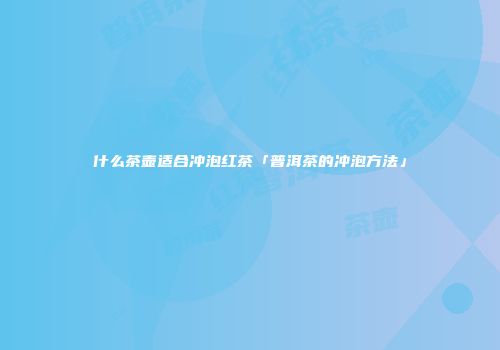 什么茶壶适合冲泡红茶「普洱茶的冲泡方法」