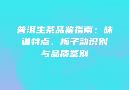 普洱生茶品鉴指南：味道特点、梅子韵识别与品质鉴别