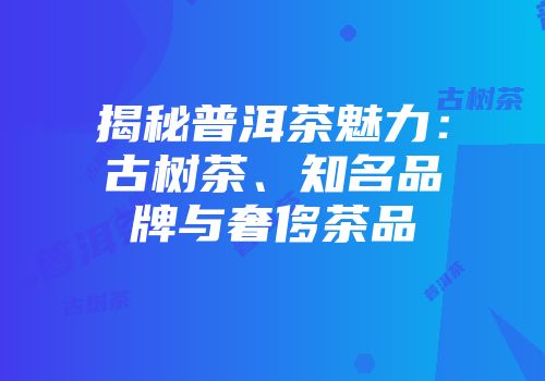 揭秘普洱茶魅力：古树茶、知名品牌与奢侈茶品