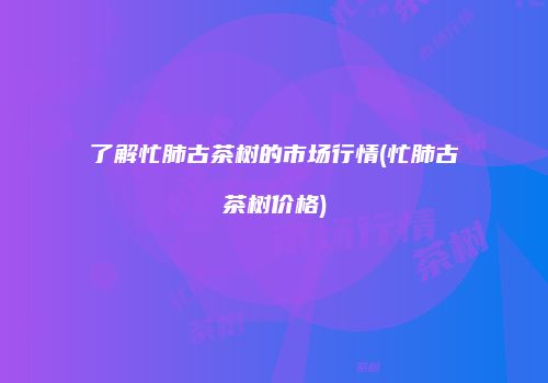了解忙肺古茶树的市场行情(忙肺古茶树价格)