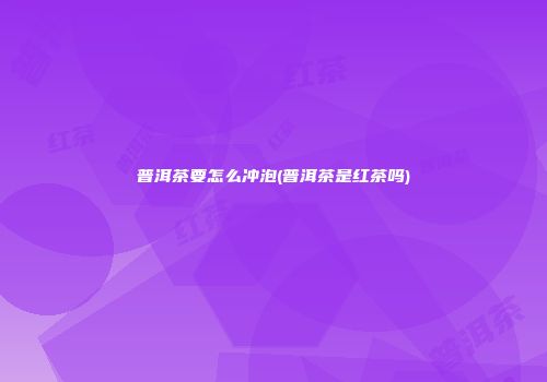 普洱茶要怎么冲泡(普洱茶是红茶吗)