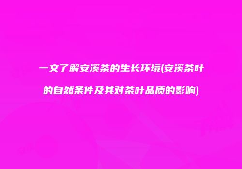 一文了解安溪茶的生长环境(安溪茶叶的自然条件及其对茶叶品质的影响)