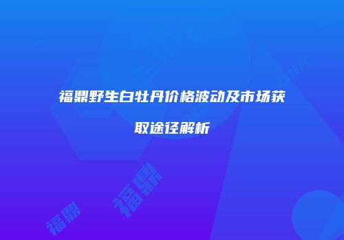 福鼎野生白牡丹价格波动及市场获取途径解析