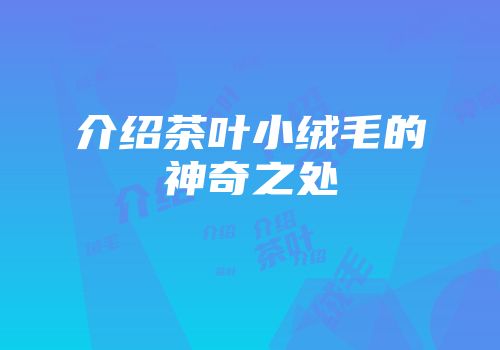 介绍茶叶小绒毛的神奇之处