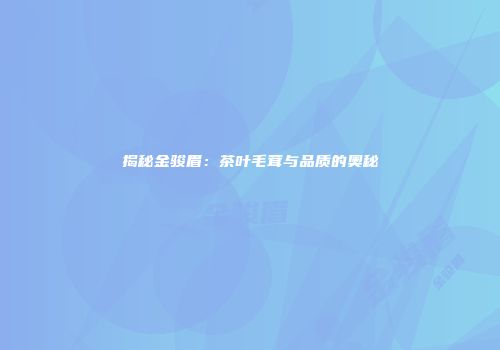 揭秘金骏眉：茶叶毛茸与品质的奥秘