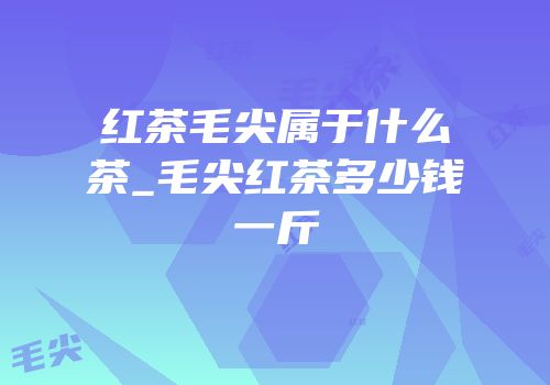 红茶毛尖属于什么茶_毛尖红茶多少钱一斤