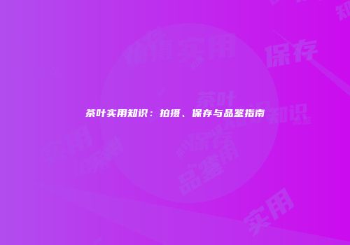 茶叶实用知识：拍摄、保存与品鉴指南