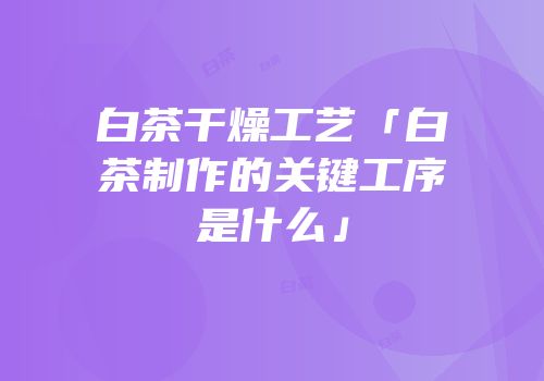 白茶干燥工艺「白茶制作的关键工序是什么」