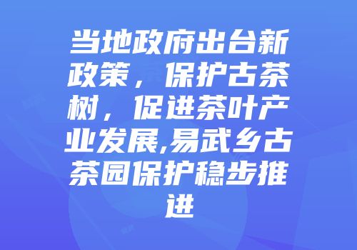 当地政府出台新政策，保护古茶树，促进茶叶产业发展,易武乡古茶园保护稳步推进