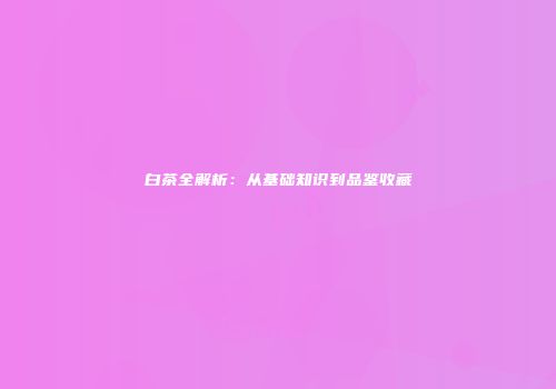 白茶全解析：从基础知识到品鉴收藏