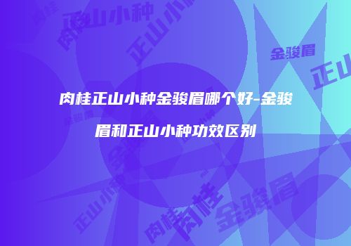 肉桂正山小种金骏眉哪个好-金骏眉和正山小种功效区别