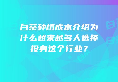 白茶种植成本介绍为什么越来越多人选择投身这个行业？