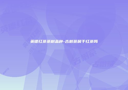 英德红茶茶树品种-古树茶属于红茶吗