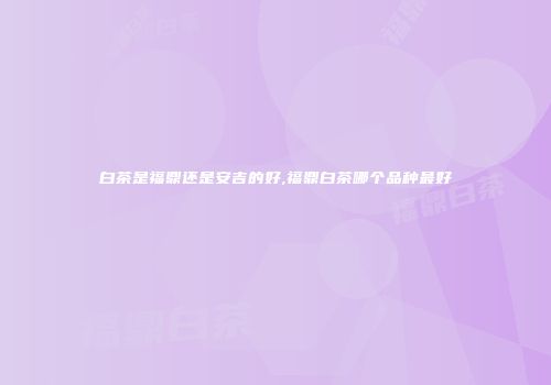 白茶是福鼎还是安吉的好,福鼎白茶哪个品种最好