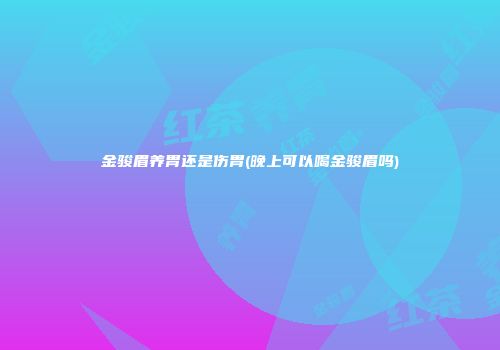 金骏眉养胃还是伤胃(晚上可以喝金骏眉吗)