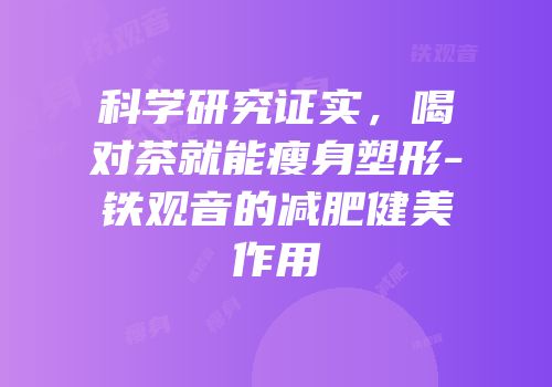科学研究证实，喝对茶就能瘦身塑形-铁观音的减肥健美作用