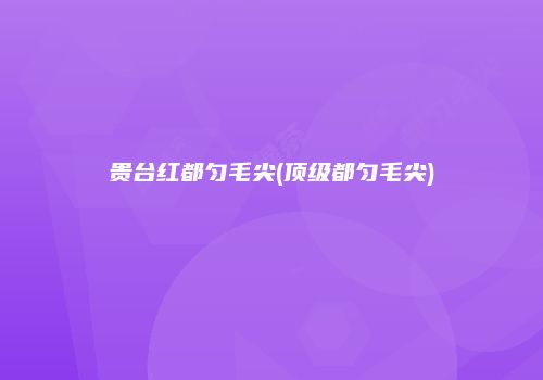贵台红都匀毛尖(顶级都匀毛尖)