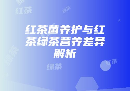红茶菌养护与红茶绿茶营养差异解析