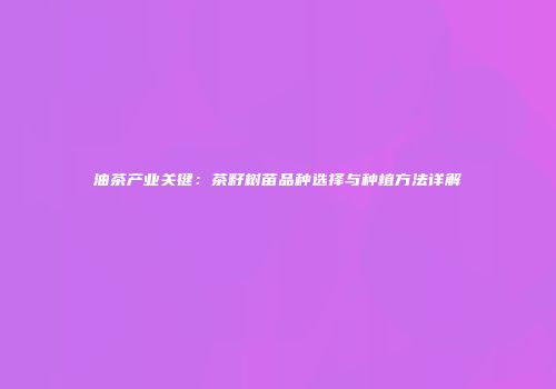 油茶产业关键：茶籽树苗品种选择与种植方法详解