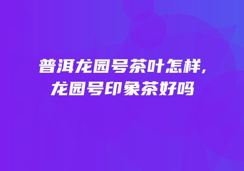 普洱龙园号茶叶怎样,龙园号印象茶好吗