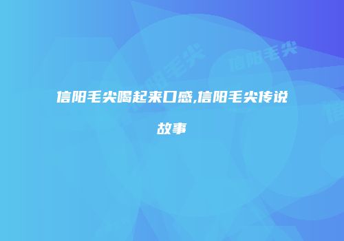 信阳毛尖喝起来口感,信阳毛尖传说故事