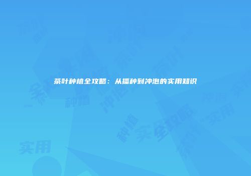 茶叶种植全攻略：从播种到冲泡的实用知识