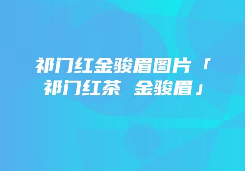祁门红金骏眉图片「祁门红茶 金骏眉」