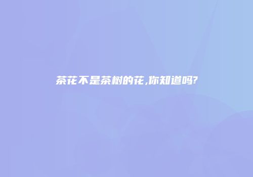 茶花不是茶树的花,你知道吗?