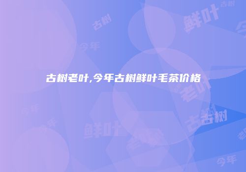 古树老叶,今年古树鲜叶毛茶价格