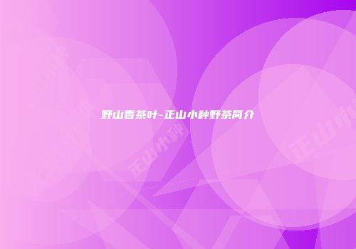 野山香茶叶-正山小种野茶简介