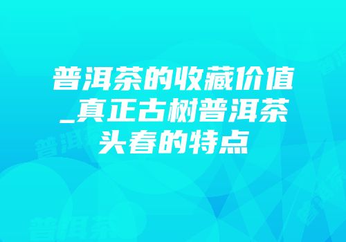 普洱茶的收藏价值_真正古树普洱茶头春的特点