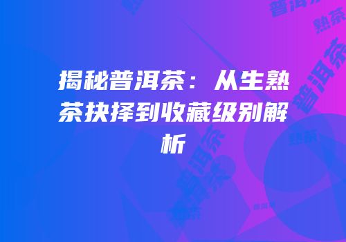 揭秘普洱茶：从生熟茶抉择到收藏级别解析