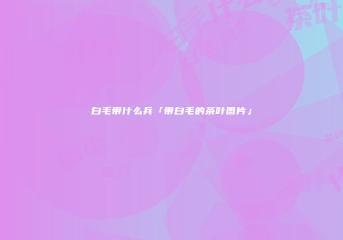 白毛带什么兵「带白毛的茶叶图片」
