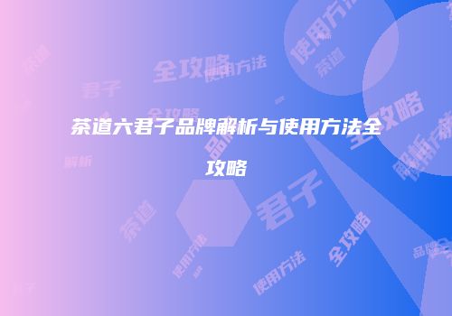 茶道六君子品牌解析与使用方法全攻略