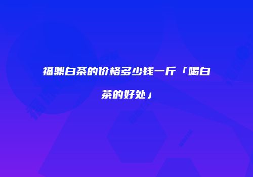 福鼎白茶的价格多少钱一斤「喝白茶的好处」