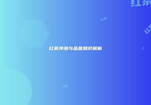 红茶冲泡与品鉴知识解析