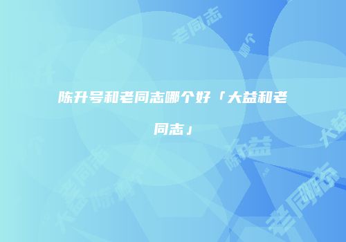 陈升号和老同志哪个好「大益和老同志」