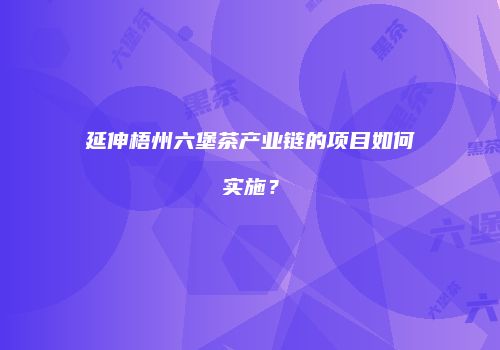 延伸梧州六堡茶产业链的项目如何实施？