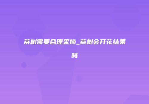 茶树需要合理采摘_茶树会开花结果吗