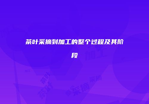 茶叶采摘到加工的整个过程及其阶段