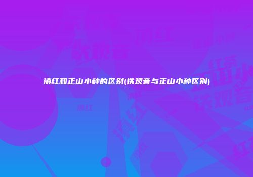滇红和正山小种的区别(铁观音与正山小种区别)