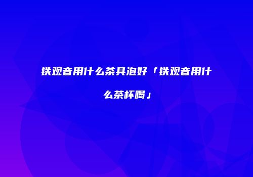 铁观音用什么茶具泡好「铁观音用什么茶杯喝」