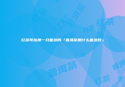 红茶可以用一只壶泡吗「普洱茶用什么壶泡好」