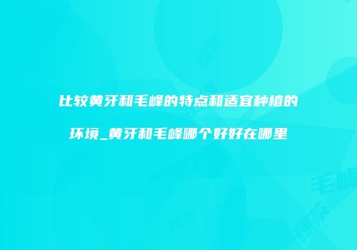 比较黄牙和毛峰的特点和适宜种植的环境_黄牙和毛峰哪个好好在哪里