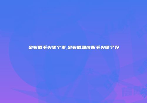 金骏眉毛尖哪个贵,金骏眉和信阳毛尖哪个好