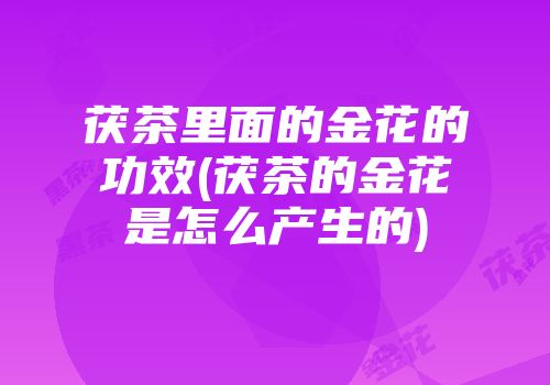 茯茶里面的金花的功效(茯茶的金花是怎么产生的)