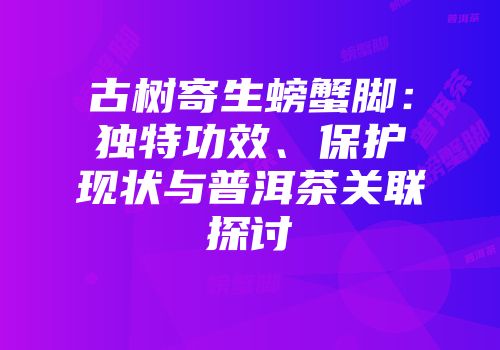 古树寄生螃蟹脚：独特功效、保护现状与普洱茶关联探讨