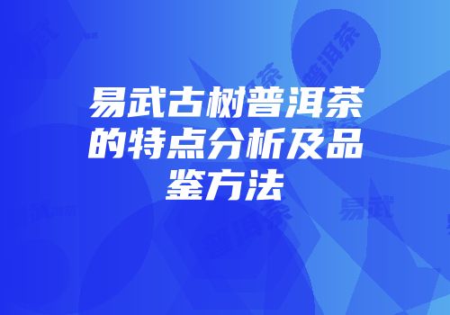 易武古树普洱茶的特点分析及品鉴方法