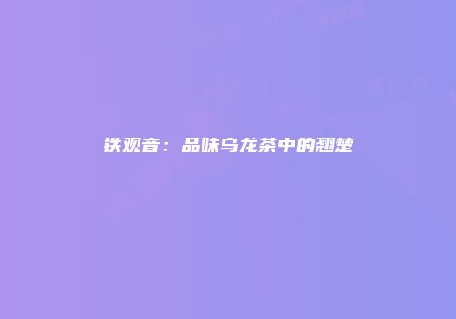 铁观音：品味乌龙茶中的翘楚